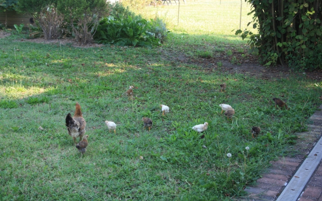 Agriturismo Valgrande