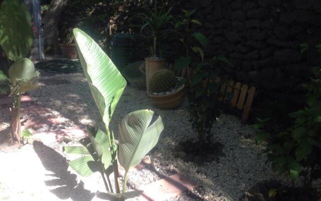 Casa Vacanze Sotto Il Vulcano