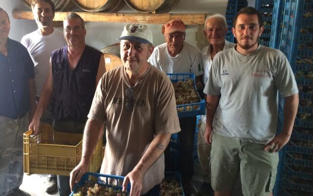 Fattoria Santa Vittoria Apartment "lepre"