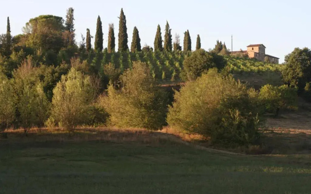 Podere Calcinaia
