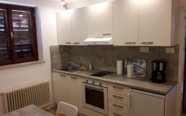 Family Apartment Kocevar