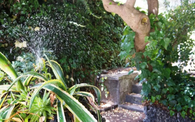 Rosso Vulcano Bed & Breakfast