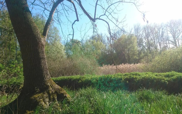 Sonniges Häuschen mit Garten