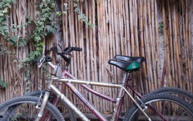 Hostel Cafayate Backpackers
