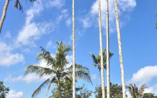 Amora Ubud Boutique Villas