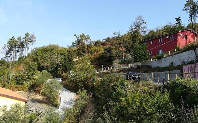 Agritusimo I Gelsi E I Castagni