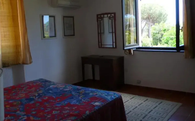 Cottage Morus
