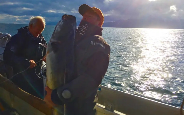 Bruunsgaard Leknes Lofoten