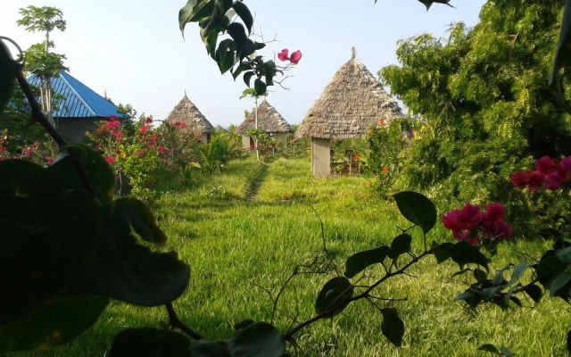 Paipai zanzibar