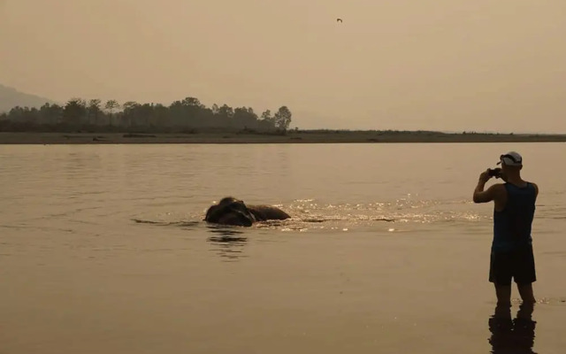 Tigertops Elephant Camp