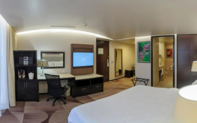 Holiday Inn Hotel & Suites Medica Sur by IHG