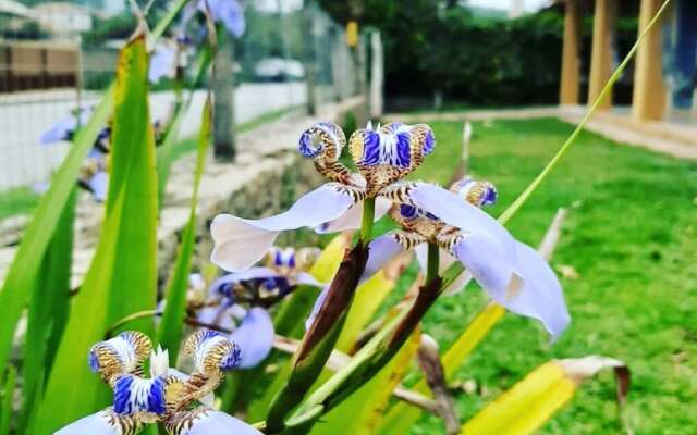 Nossa Casa em Floripa - Hostel