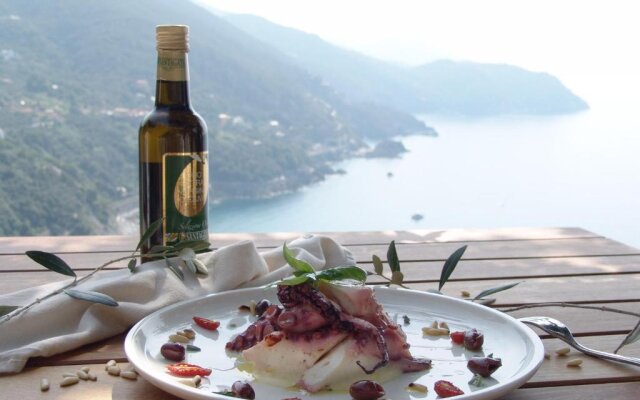 Sesta Terra Natural Resort