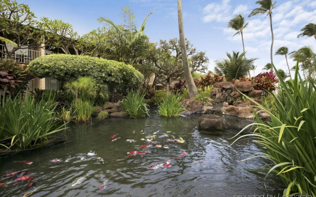 Napili Shores Maui by OUTRIGGER