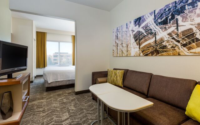 Springhill Suites By Marriott Louisville Hurstbourne North