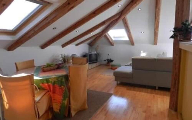 Apartments Radomir