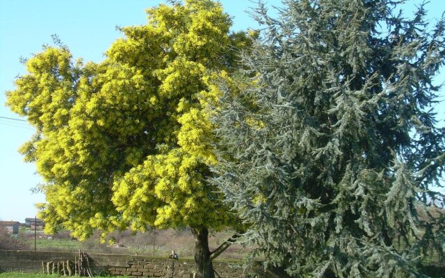 Il Giardino di Gusté