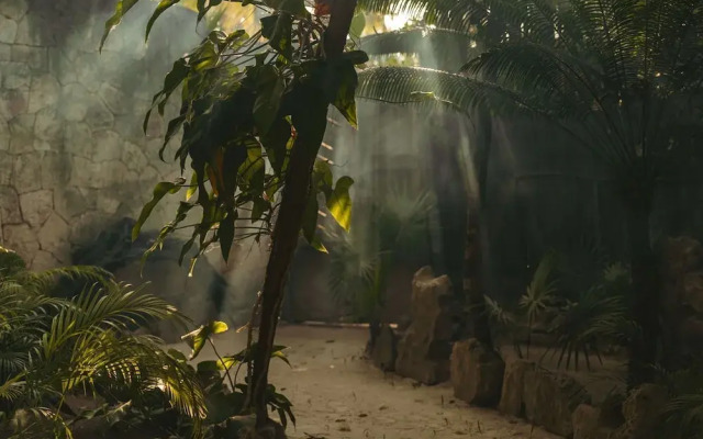 Ether Tulum