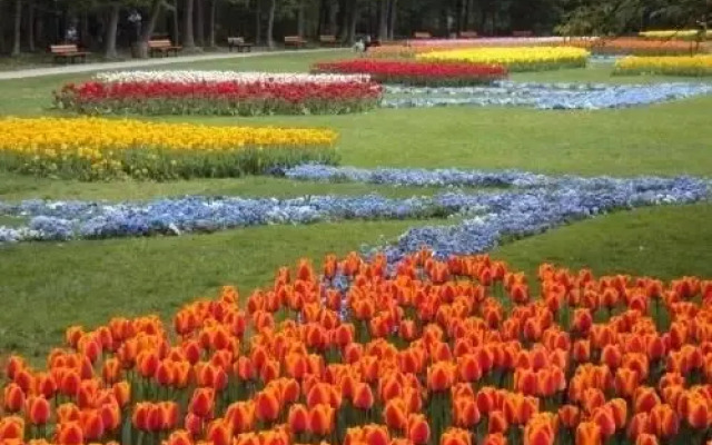 Chic And Peaceful Apart With Garden