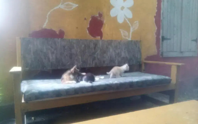 Hostel Musafir