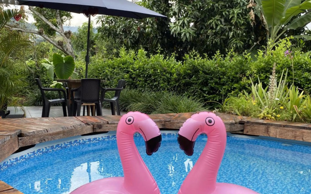 Cabañas Los Tulipanes