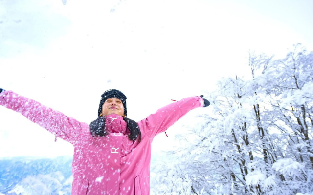 Hotel Green Plaza Hakuba