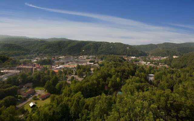 The Park Vista - a DoubleTree by Hilton Hotel - Gatlinburg