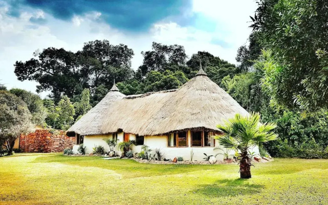 House In The Wild