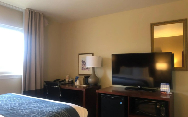 Comfort Inn & Suites Ukiah Mendocino County