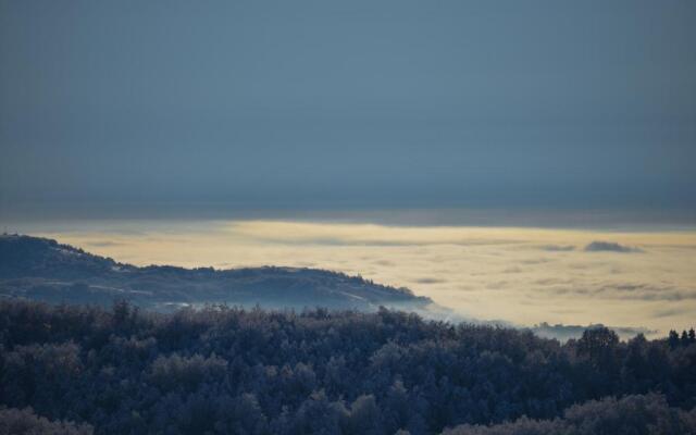 Guest House Lagotto's Peak