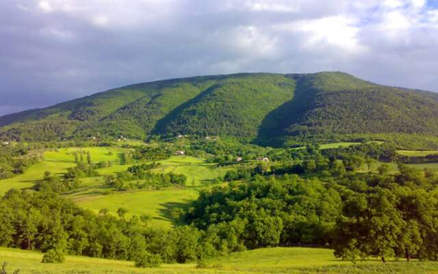 Apartment With one Bedroom in Assisi, With Shared Pool and Wifi