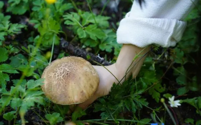 Sheepfold Bed & Breakfast