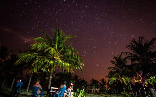Miguel Surf  Camp