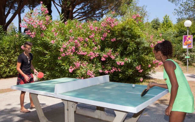 Marina Paradise