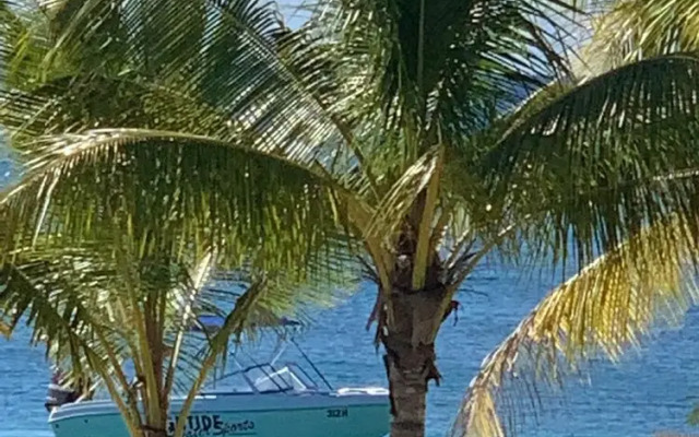 The Art Studio 12 Beachfront Apartment Barbados