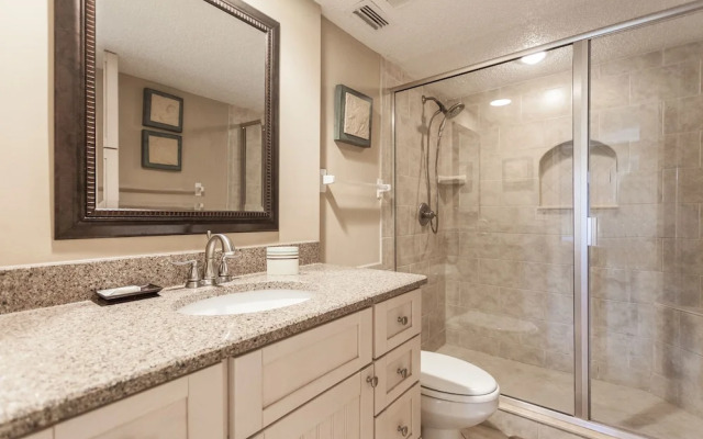 Colony Reef by Vtrips