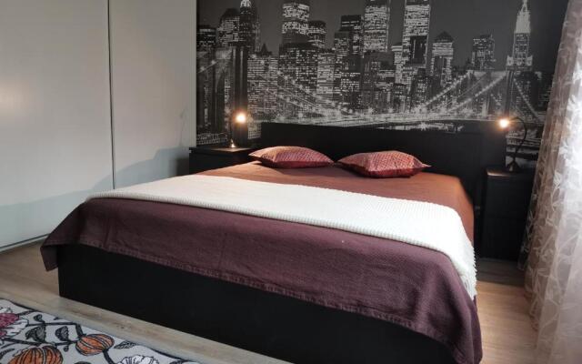 Scandinavian City Apartment