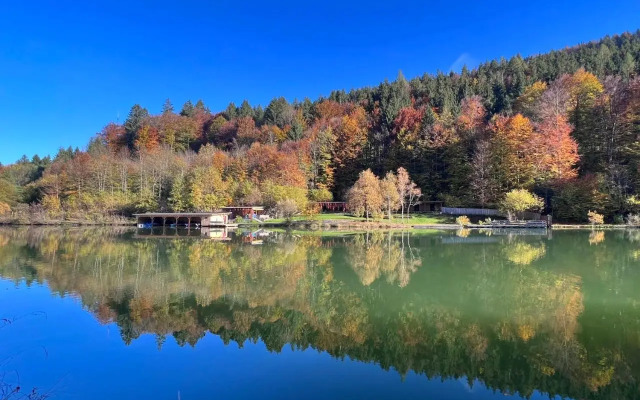 Sweet Alpen Home