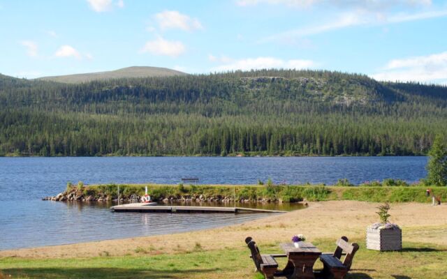 Lofsdalen Fjällbjörken (HJD054)