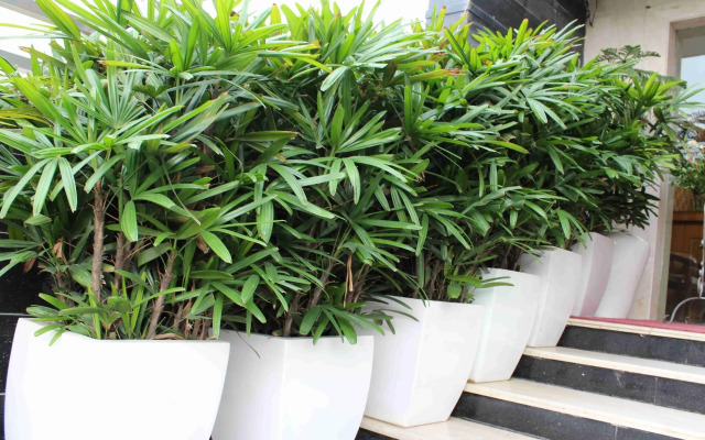 North East Residency