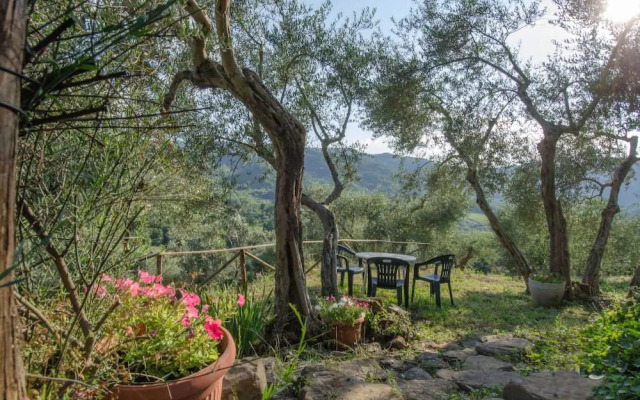 Verdidea - PODERE ROSSANO