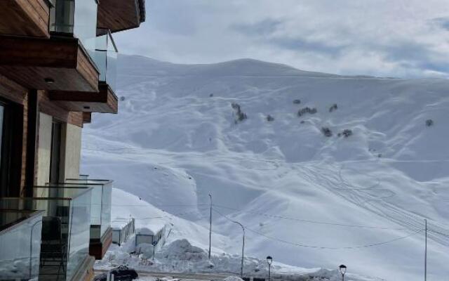 New Gudauri, Loft 2, Studio 434