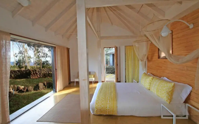 Altiplanico Rapa Nui