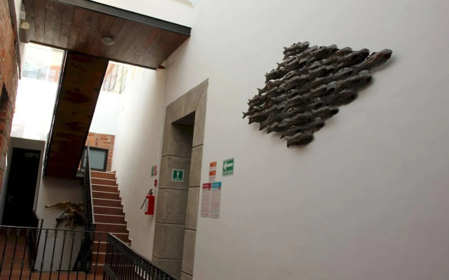 Mexico City Hostel