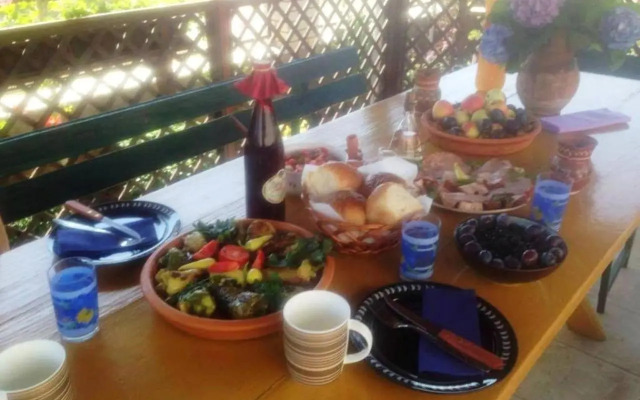 Guest House Dunavski Raj