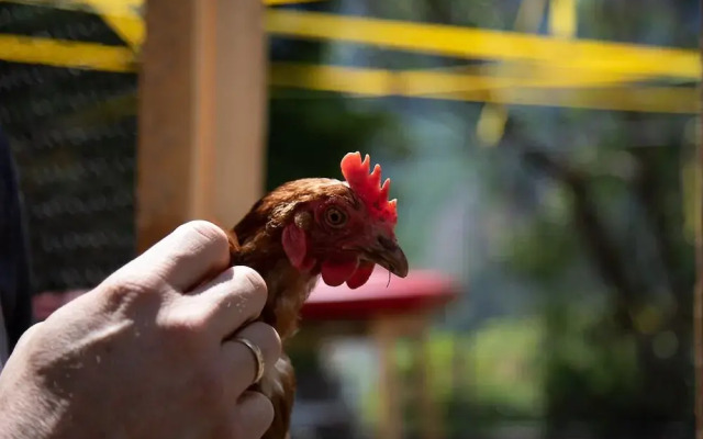 Erlebnishotel Mölltal