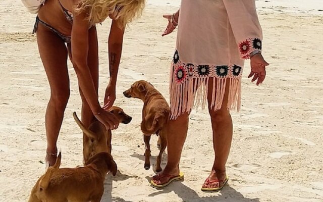 Sipano Beach Lodge Kiwengwa