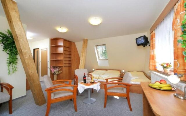 Hotel Stary Mlyn