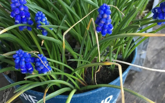 Une pause...quelque part