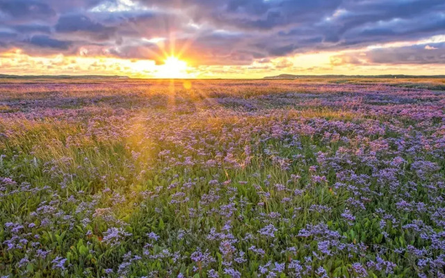 Villa in De Koog Texe With Fenced Garden